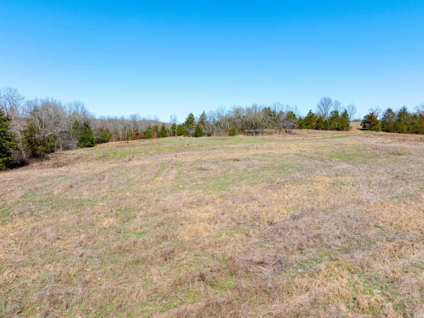 934 +/- Acre Working Cattle Ranch in Baxter County, Arkansas - photo 7