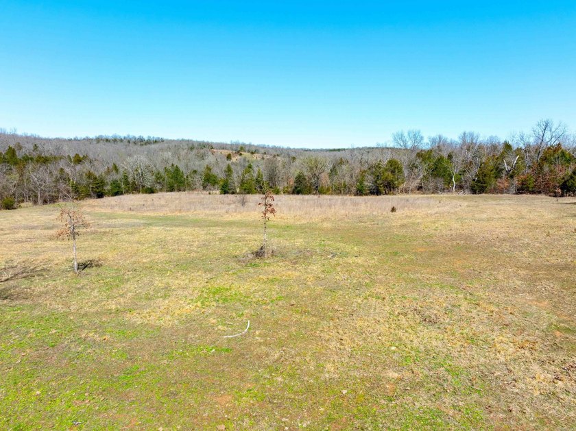 934 +/- Acre Working Cattle Ranch in Baxter County, Arkansas - photo 8