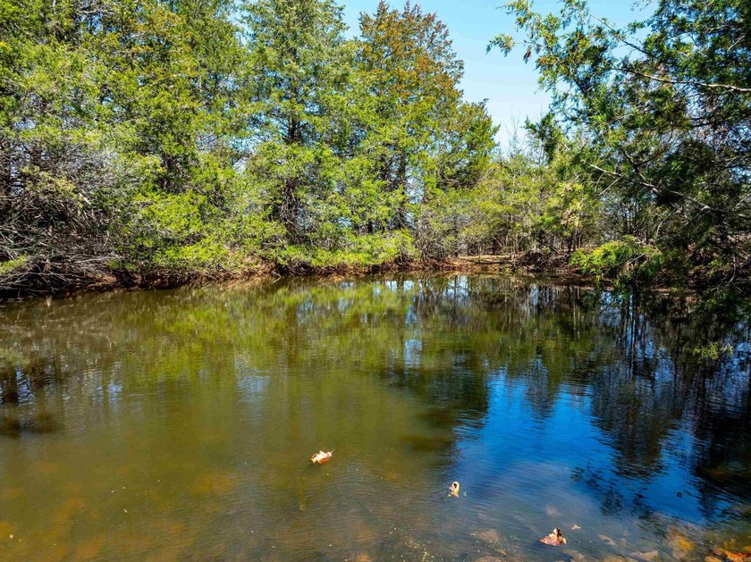 934 +/- Acre Working Cattle Ranch in Baxter County, Arkansas - photo 10