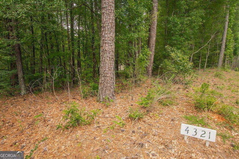 Welcome home to 4321 Highway 186! This adorable 4 bedroom/2 - photo 33