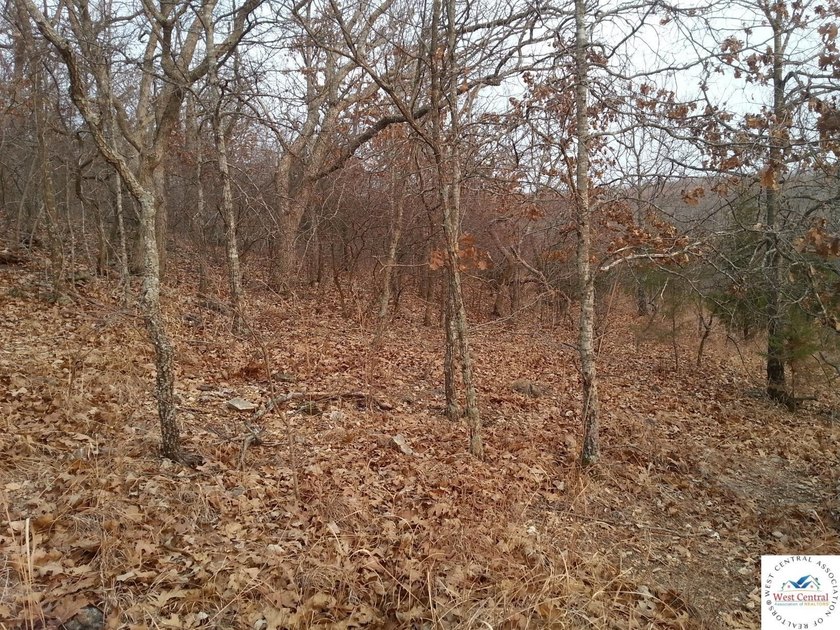 A wonderful and unique 6.3 acres of land with privacy and - photo 12