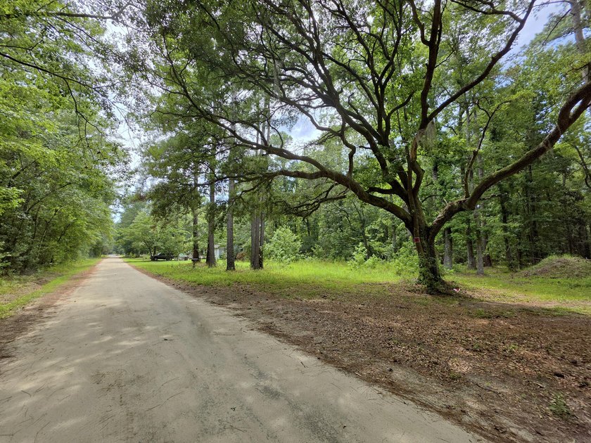 US FOREST-Large homesite bordering the Francis Marion Forest - photo 3