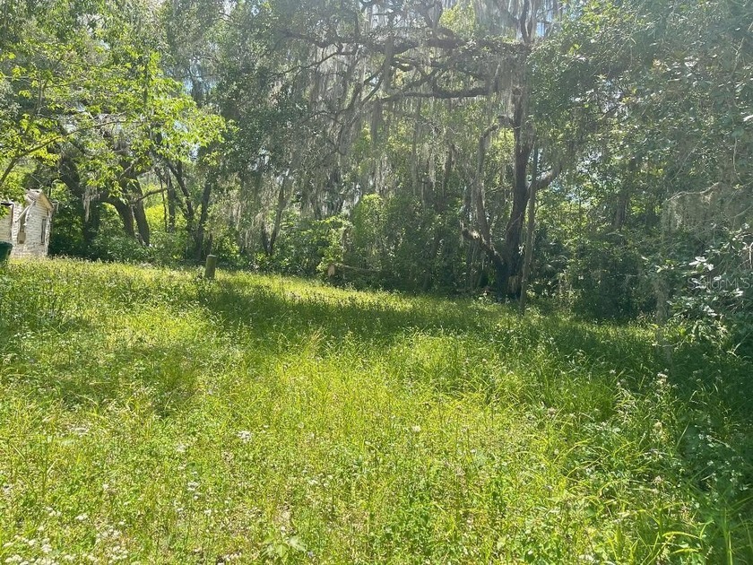 REDUCED to SELL!   Large lot with well &amp; septic (not guaranteed) - photo 2