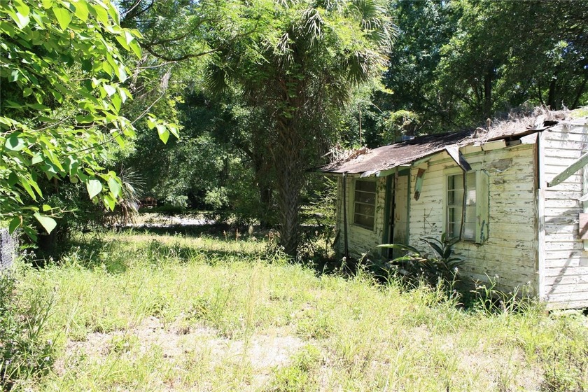 REDUCED to SELL!   Large lot with well &amp; septic (not guaranteed) - photo 4
