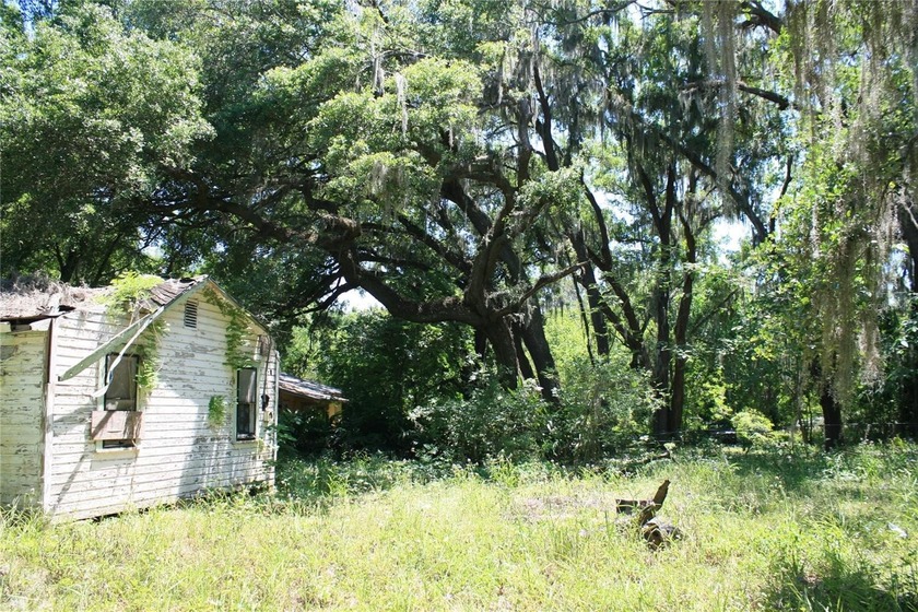 REDUCED to SELL!   Large lot with well &amp; septic (not guaranteed) - photo 6
