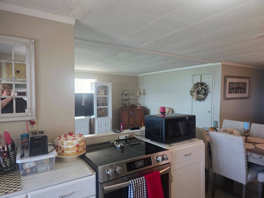 Unbeatable Value: Direct Waterfront Living on the Manatee River! - photo 14