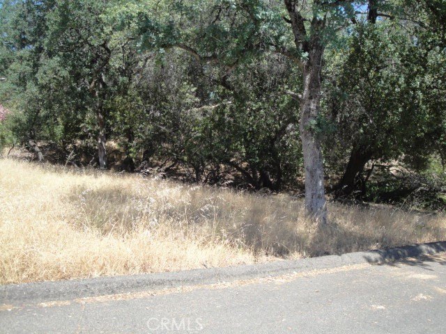 Great price for this .21 acre lot in desirable Kelly Ridge in - photo 2