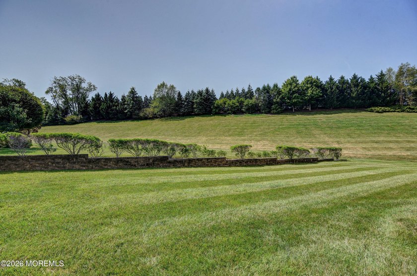 Upscale 3,250 SF brick-front Colonial offers a sophisticated - photo 3
