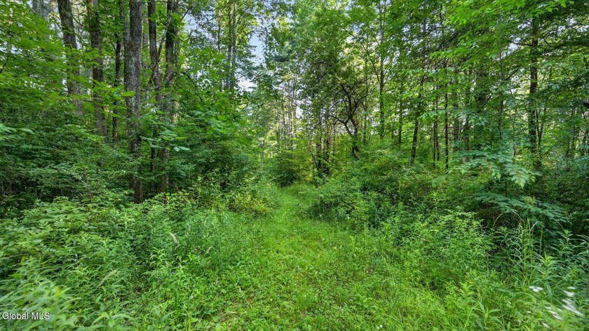 31.34 surveyed acres on Grange Hall Road in Franklin, NY - photo 12