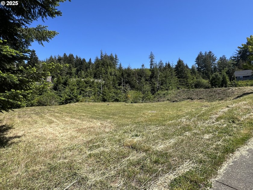 Surrounded by towering trees and quality custom homes, this - photo 2