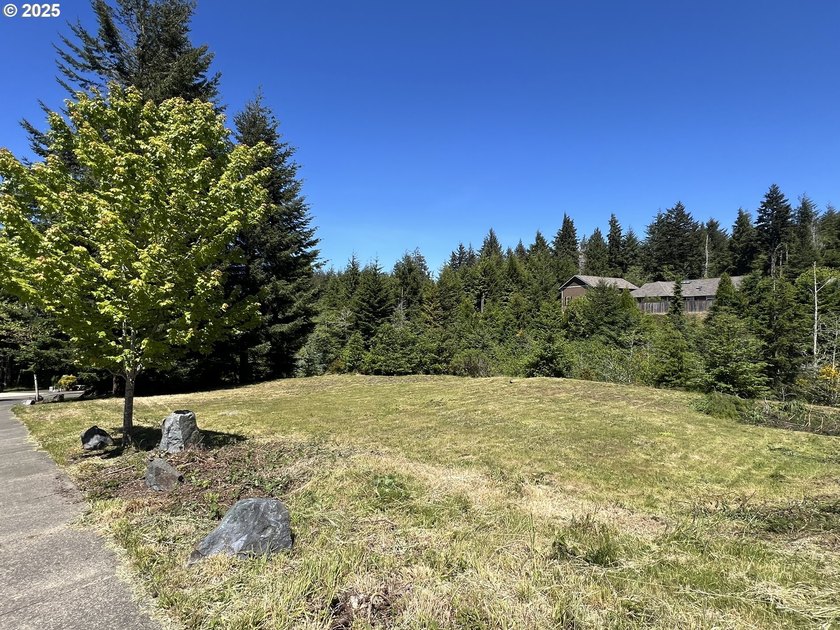 Surrounded by towering trees and quality custom homes, this - photo 3