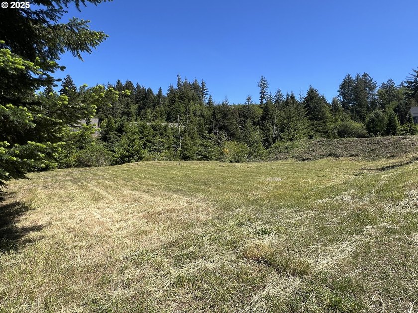 Surrounded by towering trees and quality custom homes, this - photo 5