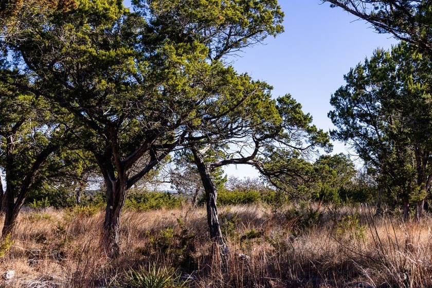 Build your custom dream home in Las Colinas, one of Kerrville's - photo 8