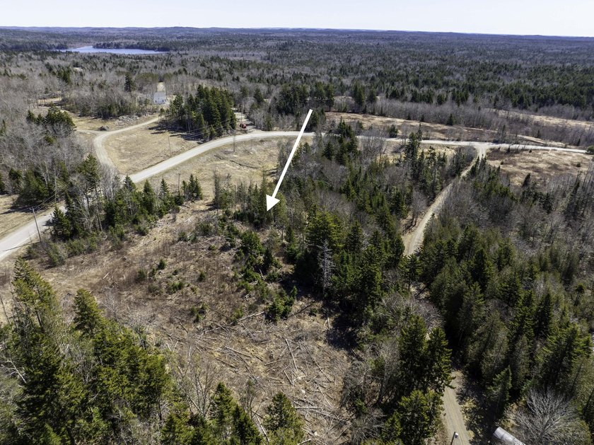 Lakeview lot in Whiting, Maine. This 2 acre lot along Halls - photo 4