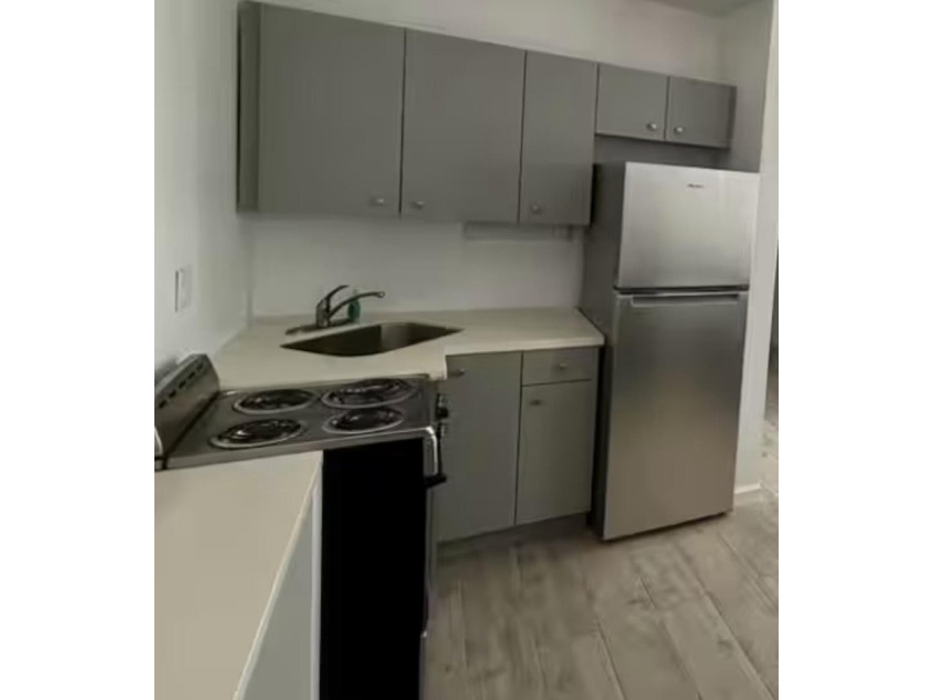 Fully operational, income-producing property with four active - photo 5