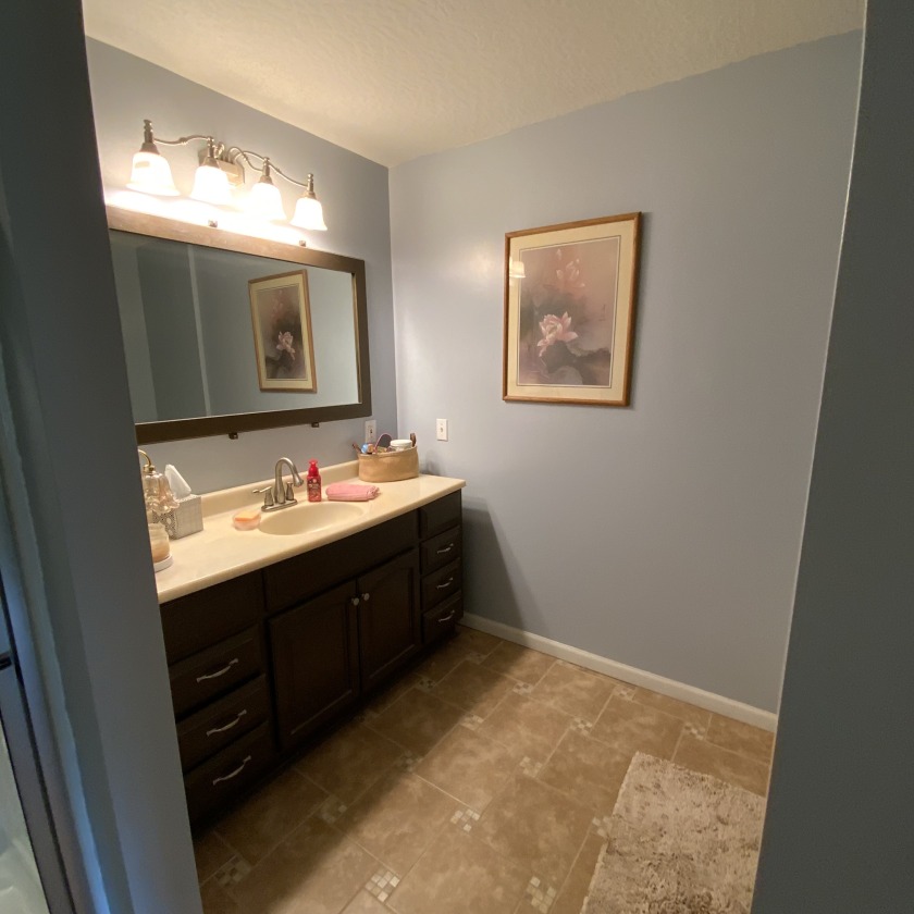 DOWNSTAIRS GUEST BATHROOM - photo 10