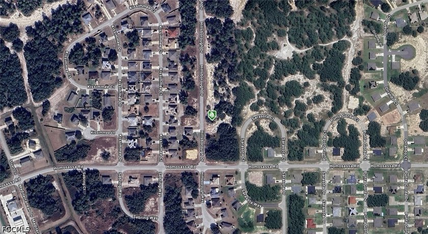 A VACANT LOT IN POINCIANA IN POLK - photo 2