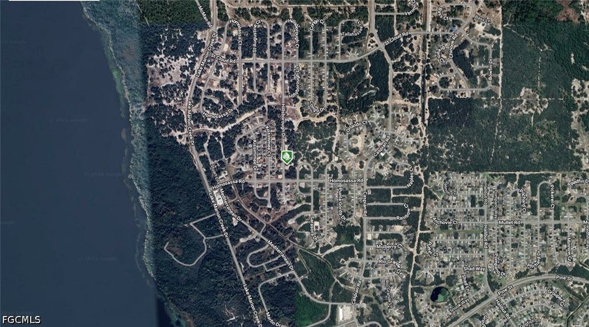 A VACANT LOT IN POINCIANA IN POLK - photo 3