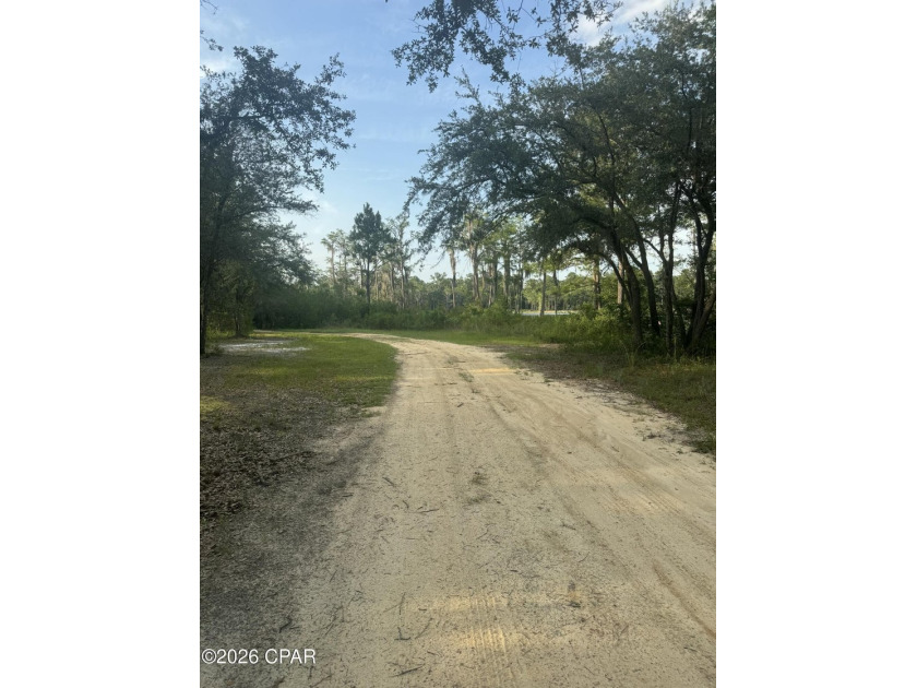 Motivated seller, Move-in ready and recent updates, this - photo 13