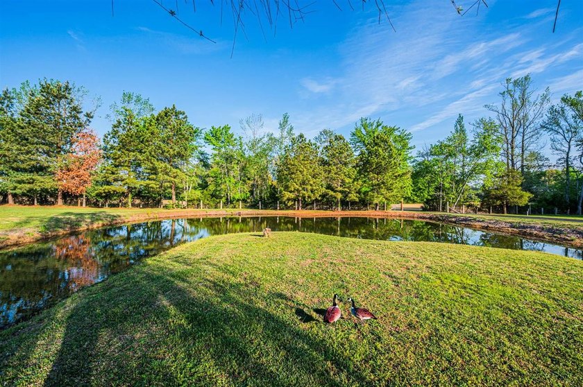 Some properties don't just offer space - they offer a whole - photo 32
