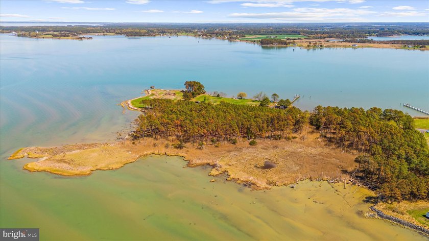 Spectacular Waterfront Peninsula - 21.87 Acres in Dorchester - photo 22