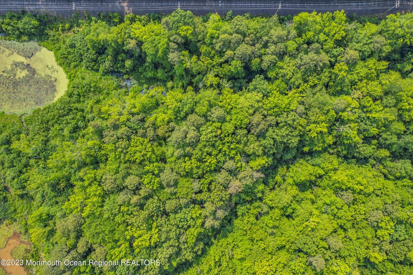 An extraordinary opportunity to acquire both a premier - photo 6