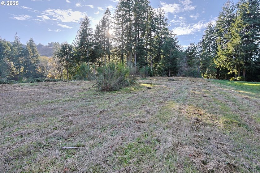 Beautiful 2.60-Acre Golf Course Lot in Ironwood Estates - - photo 3