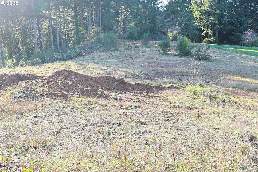 Beautiful 2.60-Acre Golf Course Lot in Ironwood Estates - - photo 4