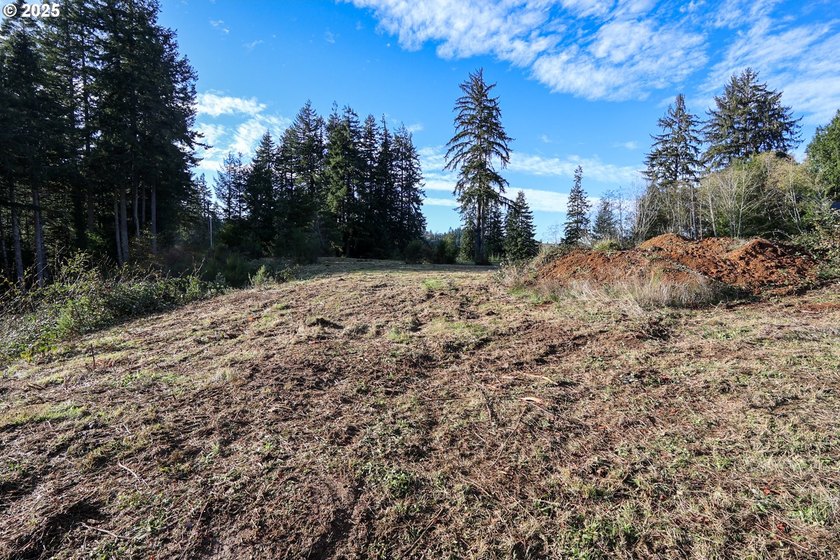 Beautiful 2.60-Acre Golf Course Lot in Ironwood Estates - - photo 5