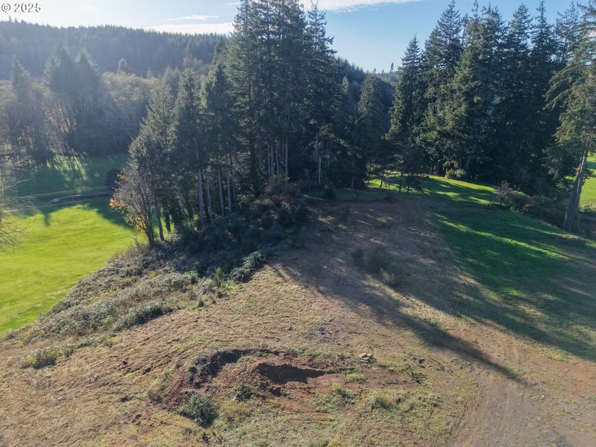 Beautiful 2.60-Acre Golf Course Lot in Ironwood Estates - - photo 10