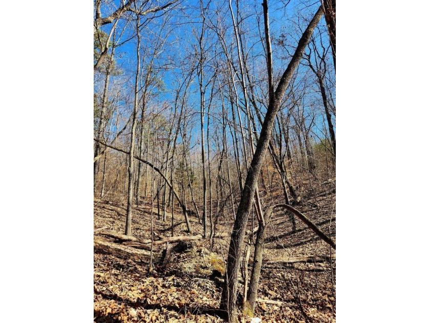 Middleton Estates is located 5 minutes off of 136, less than 10 - photo 4