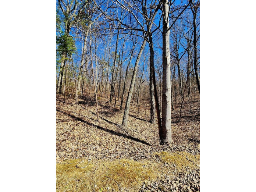 Middleton Estates is located 5 minutes off of 136, less than 10 - photo 6