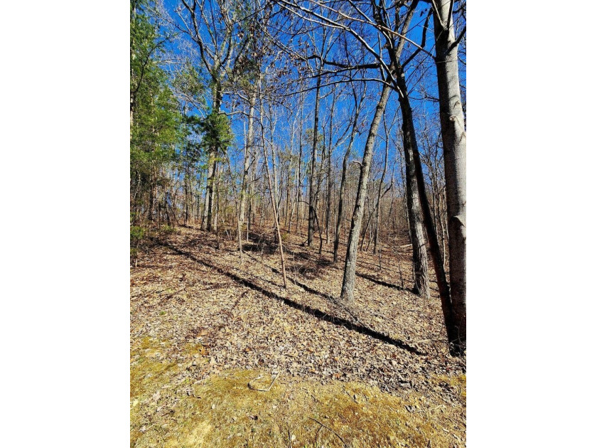 Middleton Estates is located 5 minutes off of 136, less than 10 - photo 7