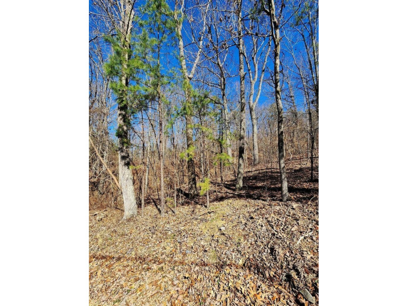Middleton Estates is located 5 minutes off of 136, less than 10 - photo 8