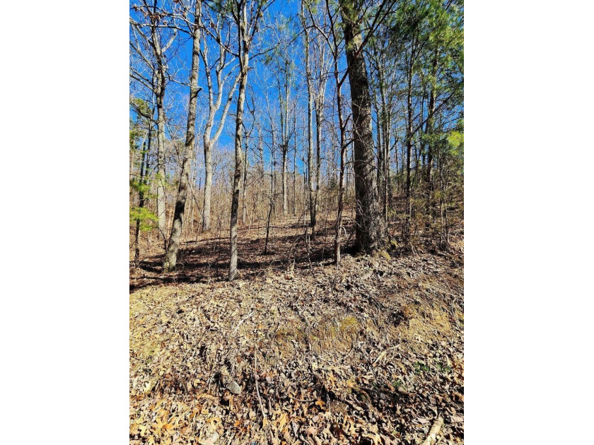 Middleton Estates is located 5 minutes off of 136, less than 10 - photo 9
