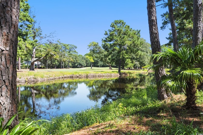 PRICE REDUCED !!! *Luxury Living on the Links* with an elegant - photo 4