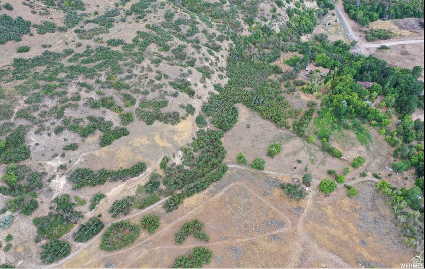 Discover this beautiful property just north of Mapleton Canyon - photo 12