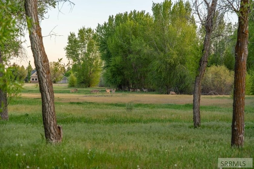 Exclusive Luxury Homesite Opportunity - Design-Controlled Build - photo 30