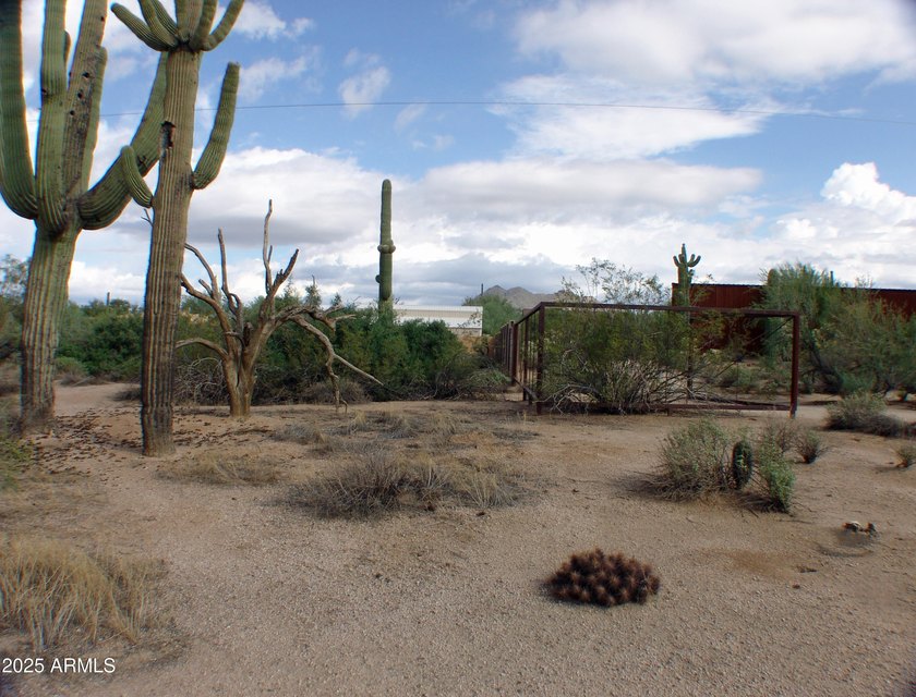 HOME TO BE BUILT: Multiple sets of plans have been completed and - photo 48