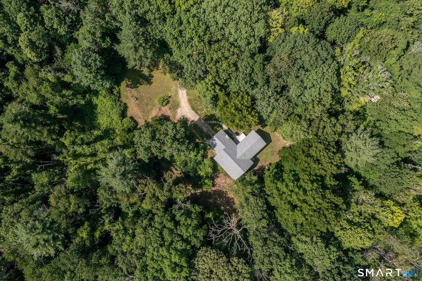 The Cub House Located in the coveted Twin Lakes area of - photo 22
