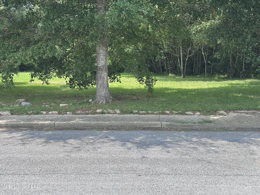 Look at this opportunity! Two lots, a commercial one that is - photo 2