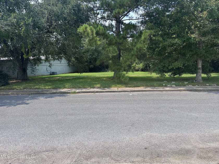 Look at this opportunity! Two lots, a commercial one that is - photo 4