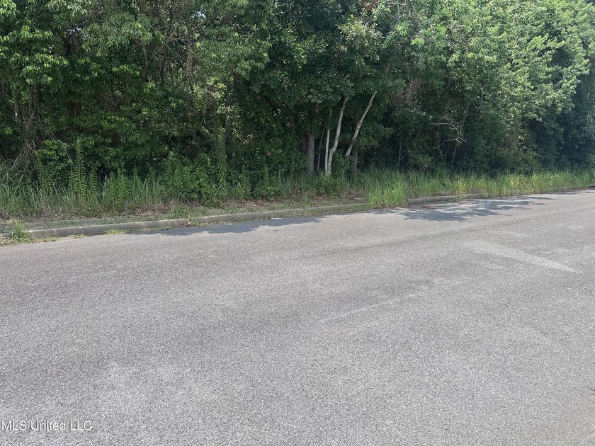 Look at this opportunity! Two lots, a commercial one that is - photo 6