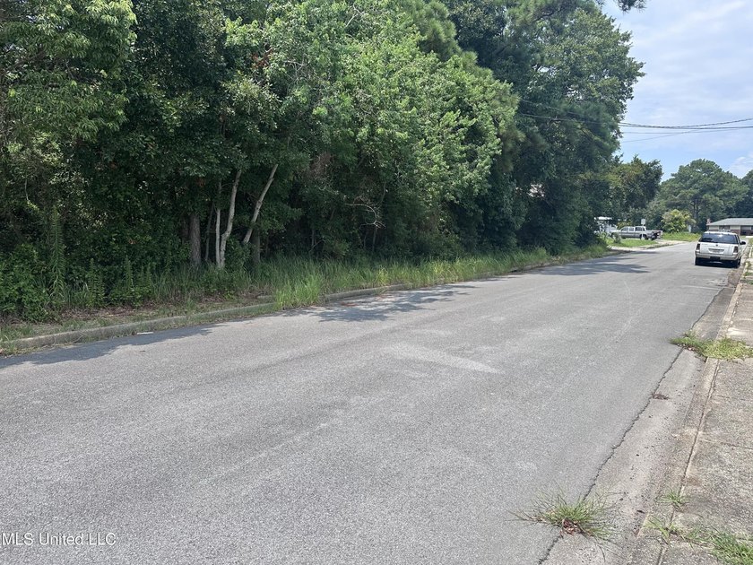 Look at this opportunity! Two lots, a commercial one that is - photo 7