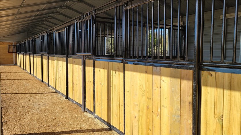 NEW LOW PRICE and INCREDIBLE BUY!! This exceptional horse - photo 12