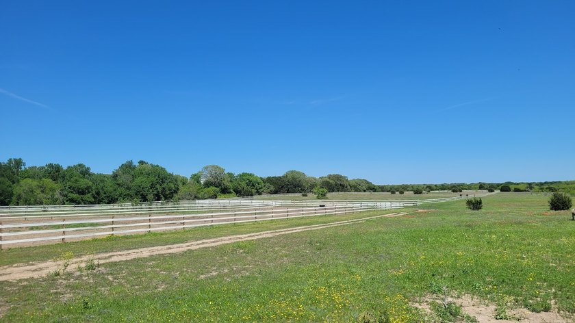 NEW LOW PRICE and INCREDIBLE BUY!! This exceptional horse - photo 13