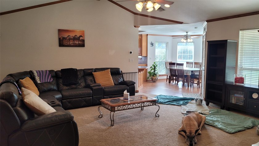 NEW LOW PRICE and INCREDIBLE BUY!! This exceptional horse - photo 22