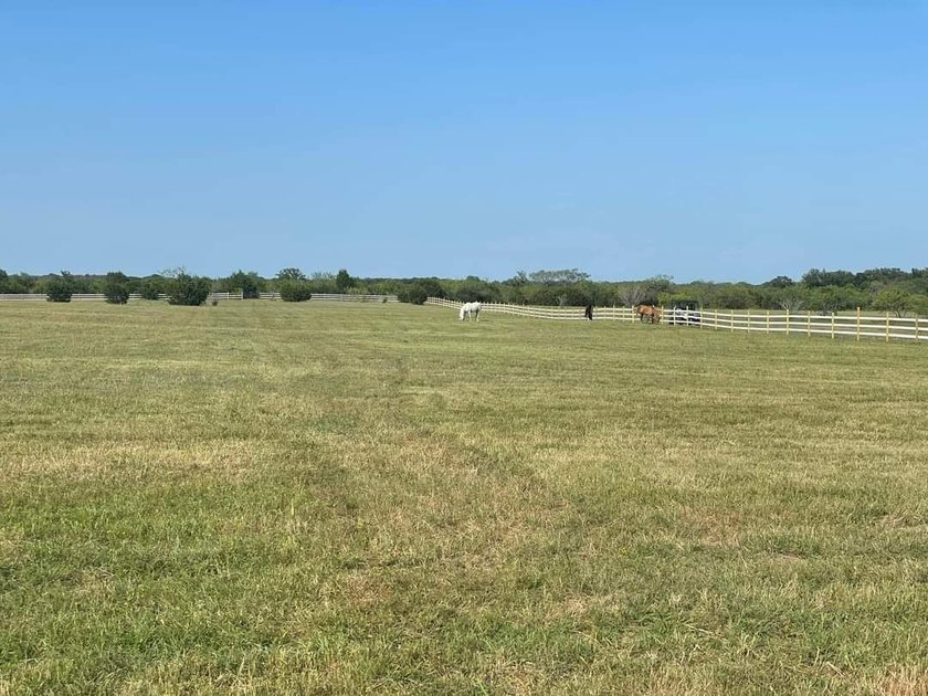 NEW LOW PRICE and INCREDIBLE BUY!! This exceptional horse - photo 33