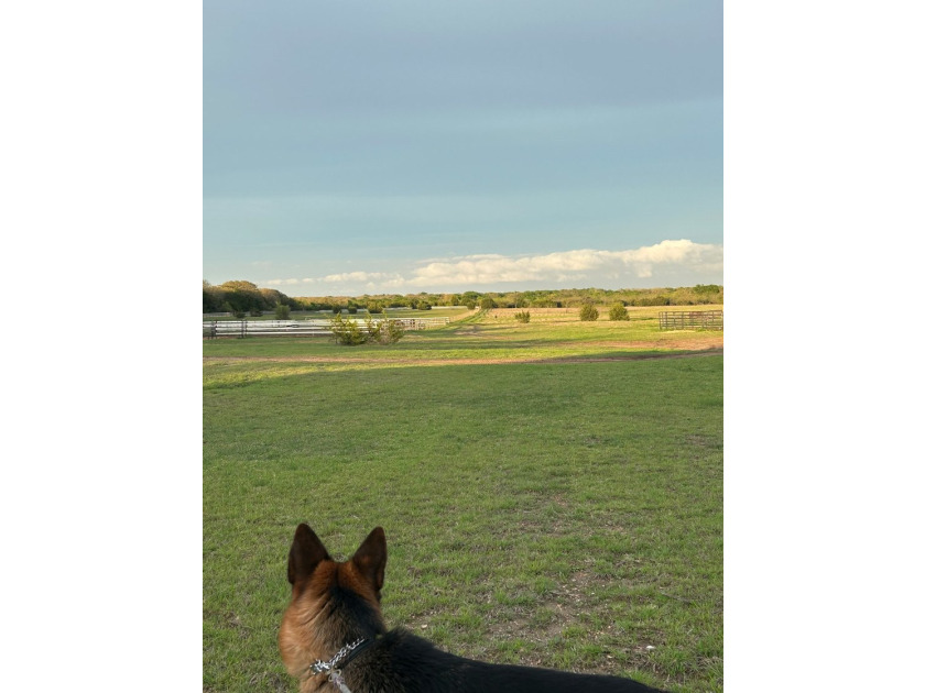 NEW LOW PRICE and INCREDIBLE BUY!! This exceptional horse - photo 37