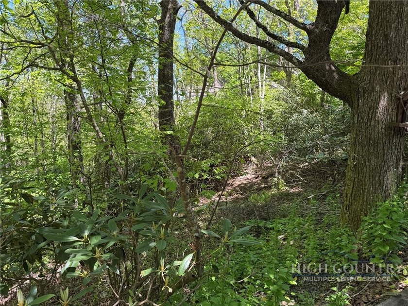 Great opportunity to build your dream home in the sought-after - photo 11